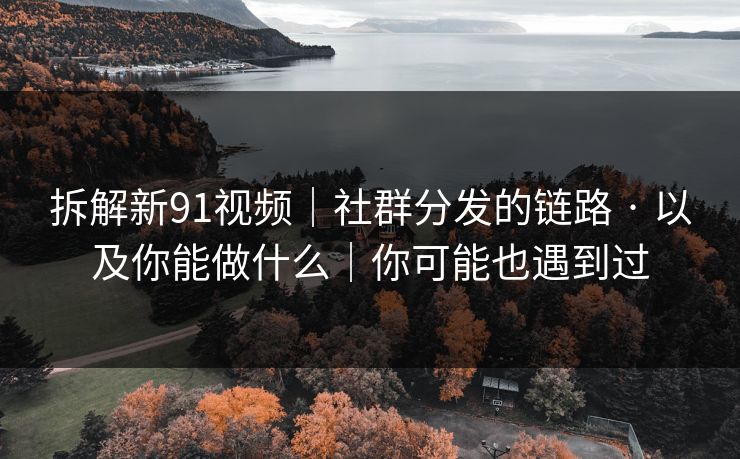 拆解新91视频｜社群分发的链路 · 以及你能做什么｜你可能也遇到过