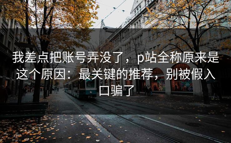我差点把账号弄没了，p站全称原来是这个原因：最关键的推荐，别被假入口骗了
